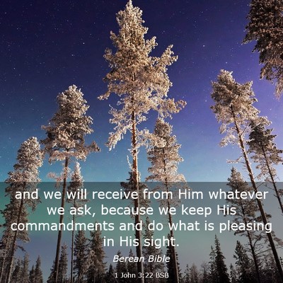 Picture 03 - 1 John 3:22 BSB - and we will receive from Him whatever we ask, - Bible Verse Picture