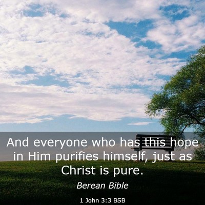 Picture 03 - 1 John 3:3 BSB - And everyone who has this hope in Him purifies - Bible Verse Picture