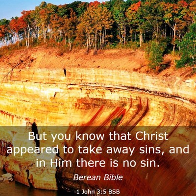 Picture 03 - 1 John 3:5 BSB - But you know that Christ appeared to take away - Bible Verse Picture