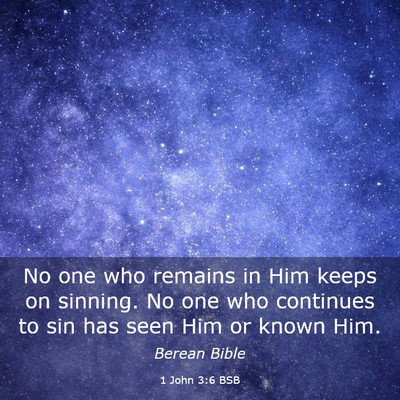 Picture 03 - 1 John 3:6 BSB - No one who remains in Him keeps on sinning. No - Bible Verse Picture