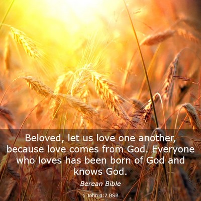Picture 03 - 1 John 4:7 BSB - Beloved, let us love one another, because love - Bible Verse Picture