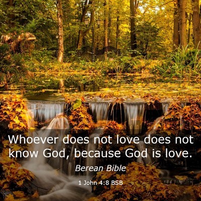 Picture 03 - 1 John 4:8 BSB - Whoever does not love does not know God, because - Bible Verse Picture