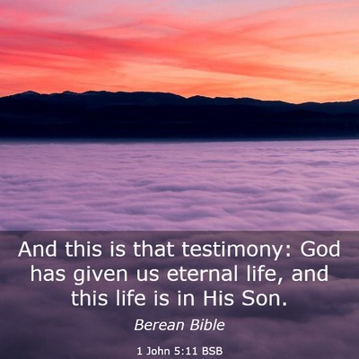 Picture 03 - 1 John 5:11 BSB - And this is that testimony: God has given us - Bible Verse Picture