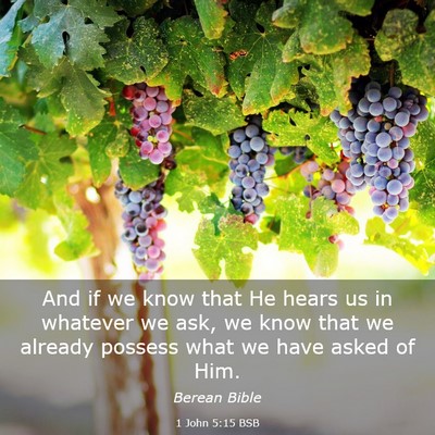 Picture 03 - 1 John 5:15 BSB - And if we know that He hears us in whatever we - Bible Verse Picture