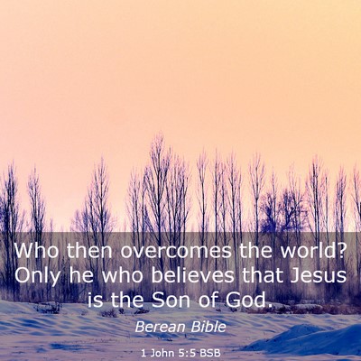 Picture 03 - 1 John 5:5 BSB - Who then overcomes the world? Only he who - Bible Verse Picture