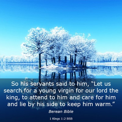 Picture 03 - 1 Kings 1:2 BSB - So his servants said to him, “Let us search for - Bible Verse Picture