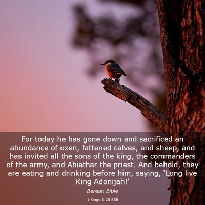Picture 03 - 1 Kings 1:25 BSB - For today he has gone down and sacrificed an - Bible Verse Picture