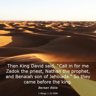 Picture 03 - 1 Kings 1:32 BSB - Then King David said, “Call in for me Zadok the - Bible Verse Picture