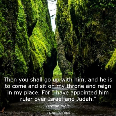 Picture 03 - 1 Kings 1:35 BSB - Then you shall go up with him, and he is to come - Bible Verse Picture