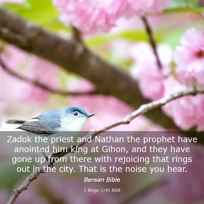Picture 03 - 1 Kings 1:45 BSB - Zadok the priest and Nathan the prophet have - Bible Verse Picture