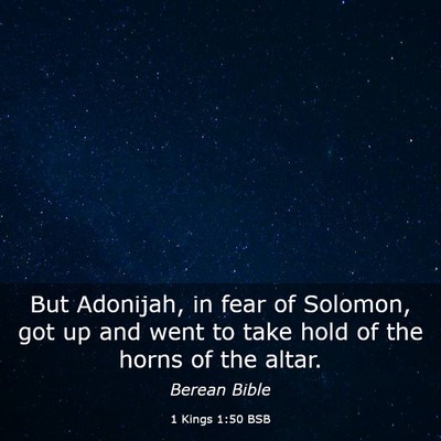 Picture 03 - 1 Kings 1:50 BSB - But Adonijah, in fear of Solomon, got up and went - Bible Verse Picture