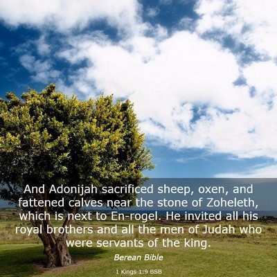 Picture 03 - 1 Kings 1:9 BSB - And Adonijah sacrificed sheep, oxen, and fattened - Bible Verse Picture