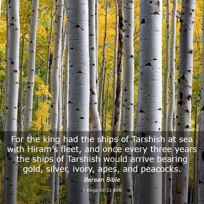 Picture 03 - 1 Kings 10:22 BSB - For the king had the ships of Tarshish at sea - Bible Verse Picture