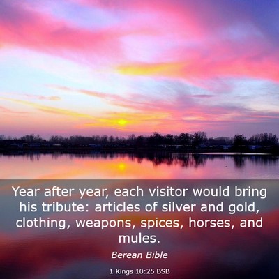 Picture 03 - 1 Kings 10:25 BSB - Year after year, each visitor would bring his - Bible Verse Picture