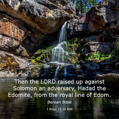 Picture 03 - 1 Kings 11:14 BSB - Then the LORD raised up against Solomon an - Bible Verse Picture