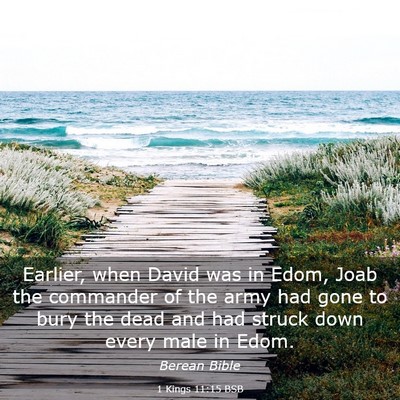 Picture 03 - 1 Kings 11:15 BSB - Earlier, when David was in Edom, Joab the - Bible Verse Picture
