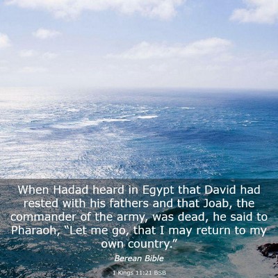 Picture 03 - 1 Kings 11:21 BSB - When Hadad heard in Egypt that David had rested - Bible Verse Picture