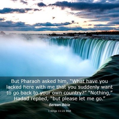 Picture 03 - 1 Kings 11:22 BSB - But Pharaoh asked him, “What have you lacked - Bible Verse Picture