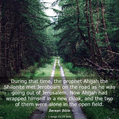 Picture 03 - 1 Kings 11:29 BSB - During that time, the prophet Ahijah the - Bible Verse Picture