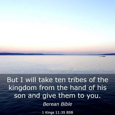 Picture 03 - 1 Kings 11:35 BSB - But I will take ten tribes of the kingdom from - Bible Verse Picture