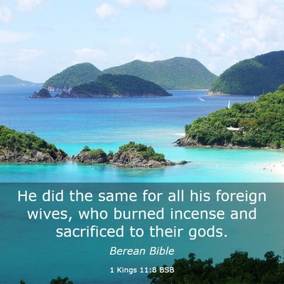 Picture 03 - 1 Kings 11:8 BSB - He did the same for all his foreign wives, who - Bible Verse Picture