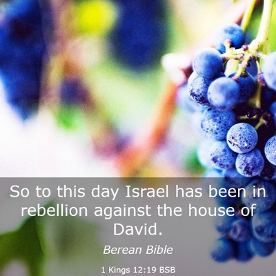 Picture 03 - 1 Kings 12:19 BSB - So to this day Israel has been in rebellion - Bible Verse Picture