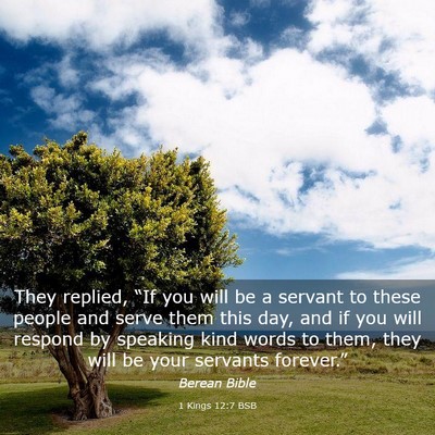 Picture 03 - 1 Kings 12:7 BSB - They replied, “If you will be a servant to - Bible Verse Picture