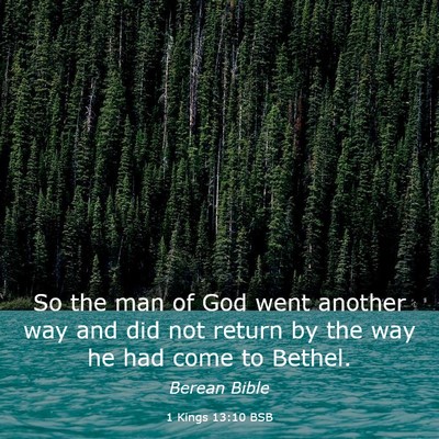Picture 03 - 1 Kings 13:10 BSB - So the man of God went another way and did not - Bible Verse Picture