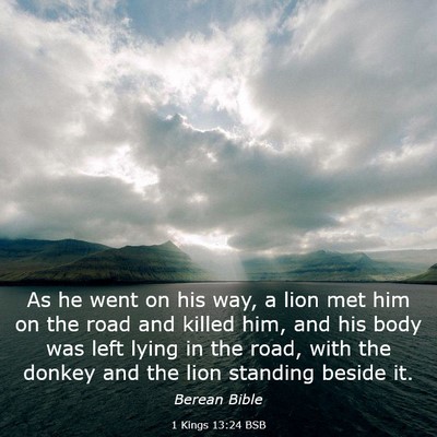 Picture 03 - 1 Kings 13:24 BSB - As he went on his way, a lion met him on the road - Bible Verse Picture
