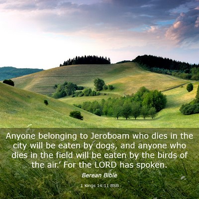 Picture 03 - 1 Kings 14:11 BSB - Anyone belonging to Jeroboam who dies in the city - Bible Verse Picture