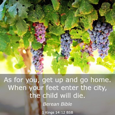 Picture 03 - 1 Kings 14:12 BSB - As for you, get up and go home. When your feet - Bible Verse Picture