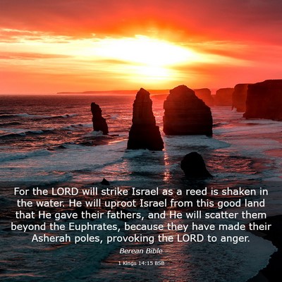 Picture 03 - 1 Kings 14:15 BSB - For the LORD will strike Israel as a reed is - Bible Verse Picture