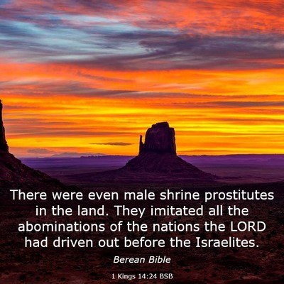Picture 03 - 1 Kings 14:24 BSB - There were even male shrine prostitutes in the - Bible Verse Picture