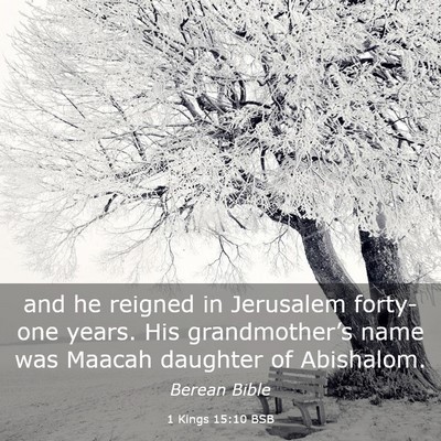Picture 03 - 1 Kings 15:10 BSB - and he reigned in Jerusalem forty-one years. His - Bible Verse Picture