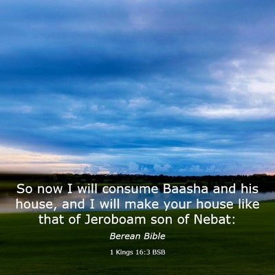 Picture 03 - 1 Kings 16:3 BSB - So now I will consume Baasha and his house, and I - Bible Verse Picture