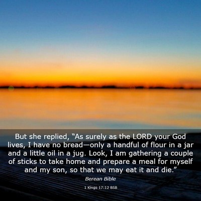 Picture 03 - 1 Kings 17:12 BSB - But she replied, “As surely as the LORD your - Bible Verse Picture