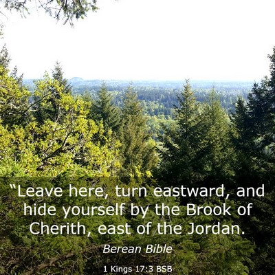 Picture 03 - 1 Kings 17:3 BSB - “Leave here, turn eastward, and hide yourself - Bible Verse Picture