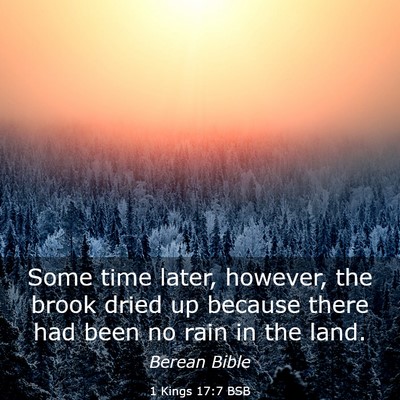 Picture 03 - 1 Kings 17:7 BSB - Some time later, however, the brook dried up - Bible Verse Picture