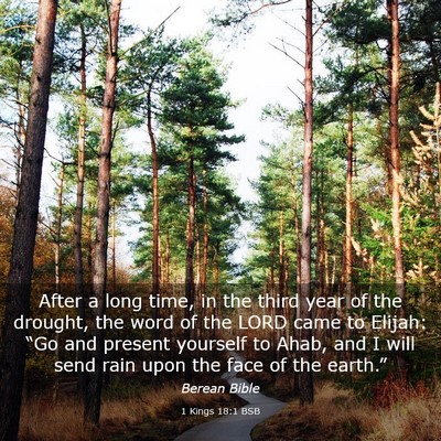 Picture 03 - 1 Kings 18:1 BSB - After a long time, in the third year of the - Bible Verse Picture