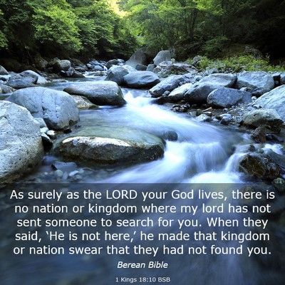 Picture 03 - 1 Kings 18:10 BSB - As surely as the LORD your God lives, there is no - Bible Verse Picture