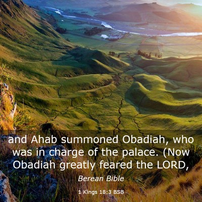 Picture 03 - 1 Kings 18:3 BSB - and Ahab summoned Obadiah, who was in charge of - Bible Verse Picture