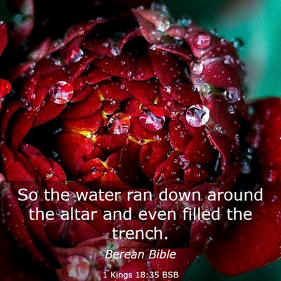 Picture 03 - 1 Kings 18:35 BSB - So the water ran down around the altar and even - Bible Verse Picture