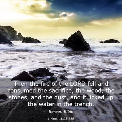 Picture 03 - 1 Kings 18:38 BSB - Then the fire of the LORD fell and consumed the - Bible Verse Picture