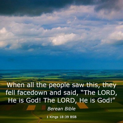 Picture 03 - 1 Kings 18:39 BSB - When all the people saw this, they fell facedown - Bible Verse Picture