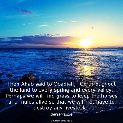Picture 03 - 1 Kings 18:5 BSB - Then Ahab said to Obadiah, “Go throughout the - Bible Verse Picture