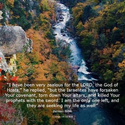Picture 03 - 1 Kings 19:10 BSB - “I have been very zealous for the LORD, the God - Bible Verse Picture