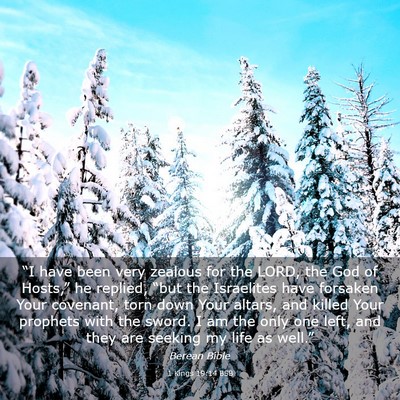 Picture 03 - 1 Kings 19:14 BSB - “I have been very zealous for the LORD, the God - Bible Verse Picture