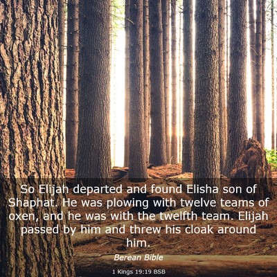 Picture 03 - 1 Kings 19:19 BSB - So Elijah departed and found Elisha son of - Bible Verse Picture