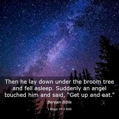 Picture 03 - 1 Kings 19:5 BSB - Then he lay down under the broom tree and fell - Bible Verse Picture