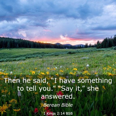 Picture 03 - 1 Kings 2:14 BSB - Then he said, “I have something to tell you.” - Bible Verse Picture